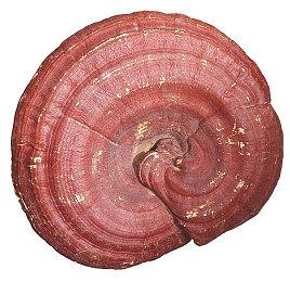 云游戏“黄金搭档”上线，传统游戏VR化开启游戏新时代 